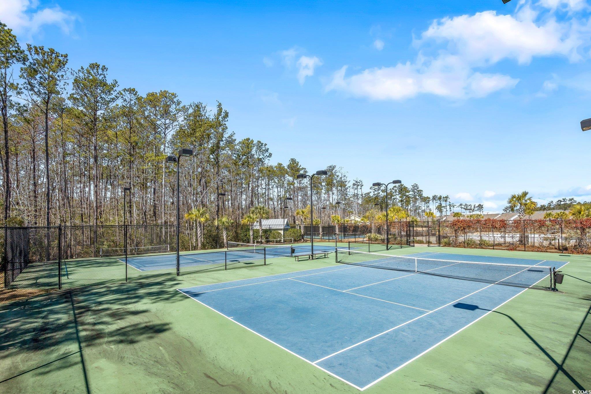 1906 Silver Spring Lane Myrtle Beach, SC 29577 - Photo 39 of 40 View of sport court
