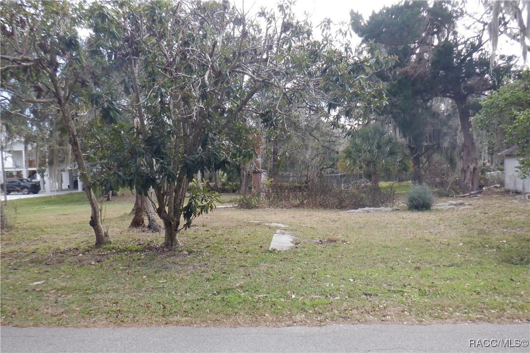 5321 Riverside Drive Yankeetown, FL 34498 - Photo 10 of 32