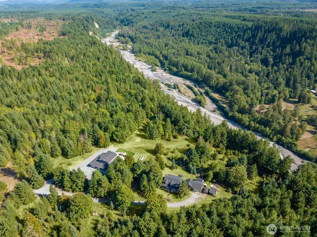 a view of a lush green forest with lots of trees