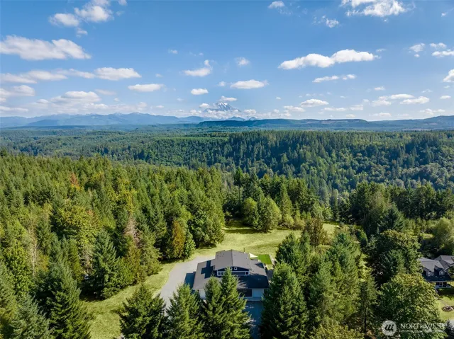 a view of a city with lush green forest