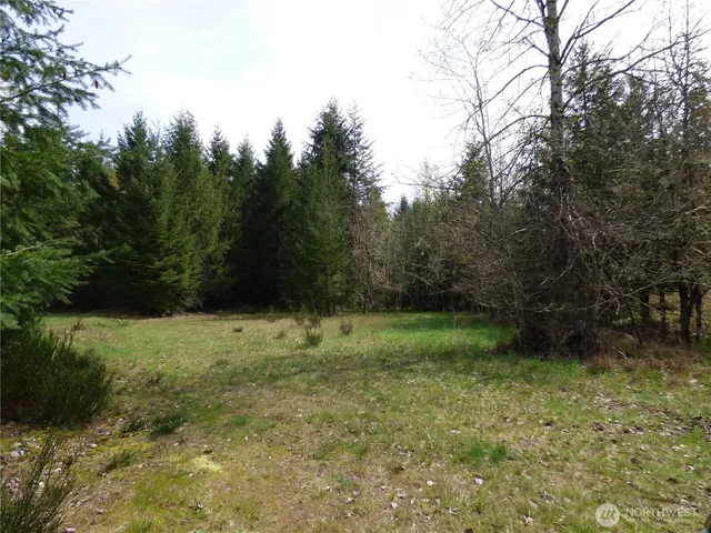 a view of outdoor space and yard