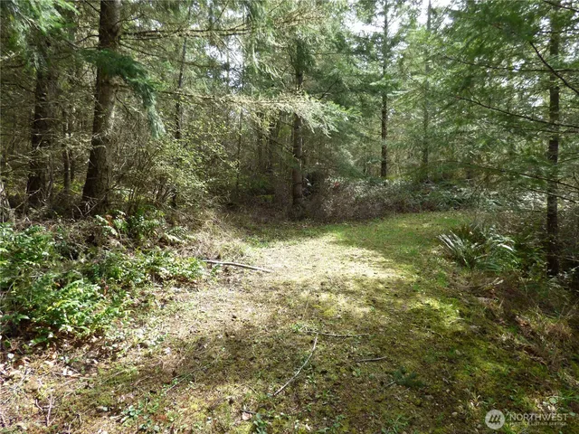 a view of outdoor space and a yard