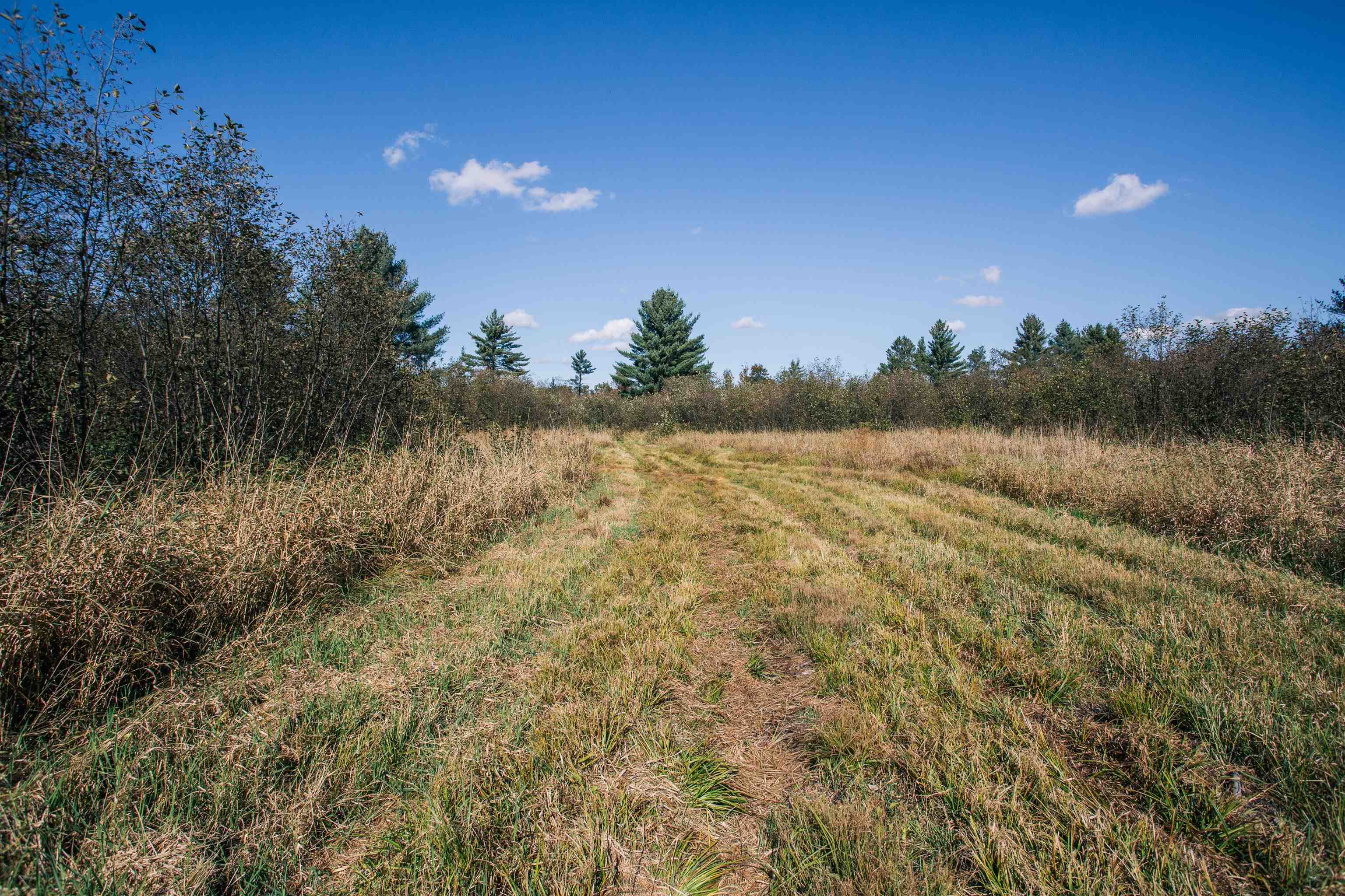 81-acres Anderson Road Neillsville, WI 54456 - Photo 37 of 38
