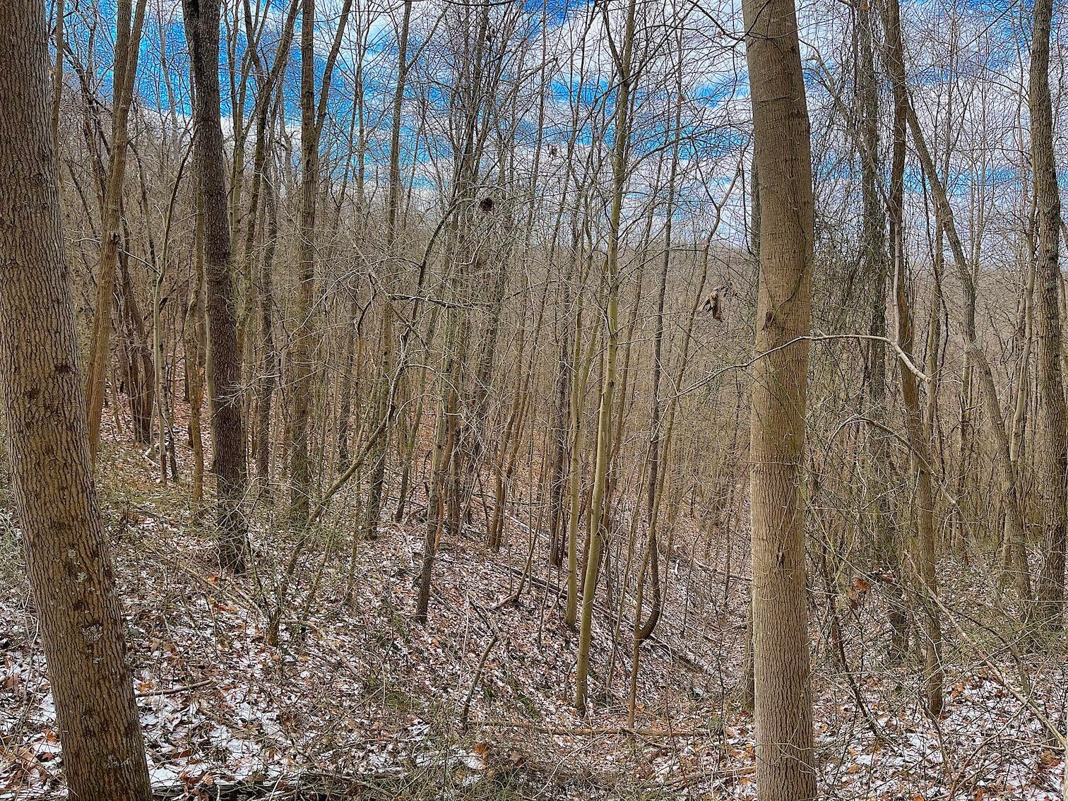 0 Hunting Run Road Lucasville, OH 45648 - Photo 27 of 39 IMG_0559