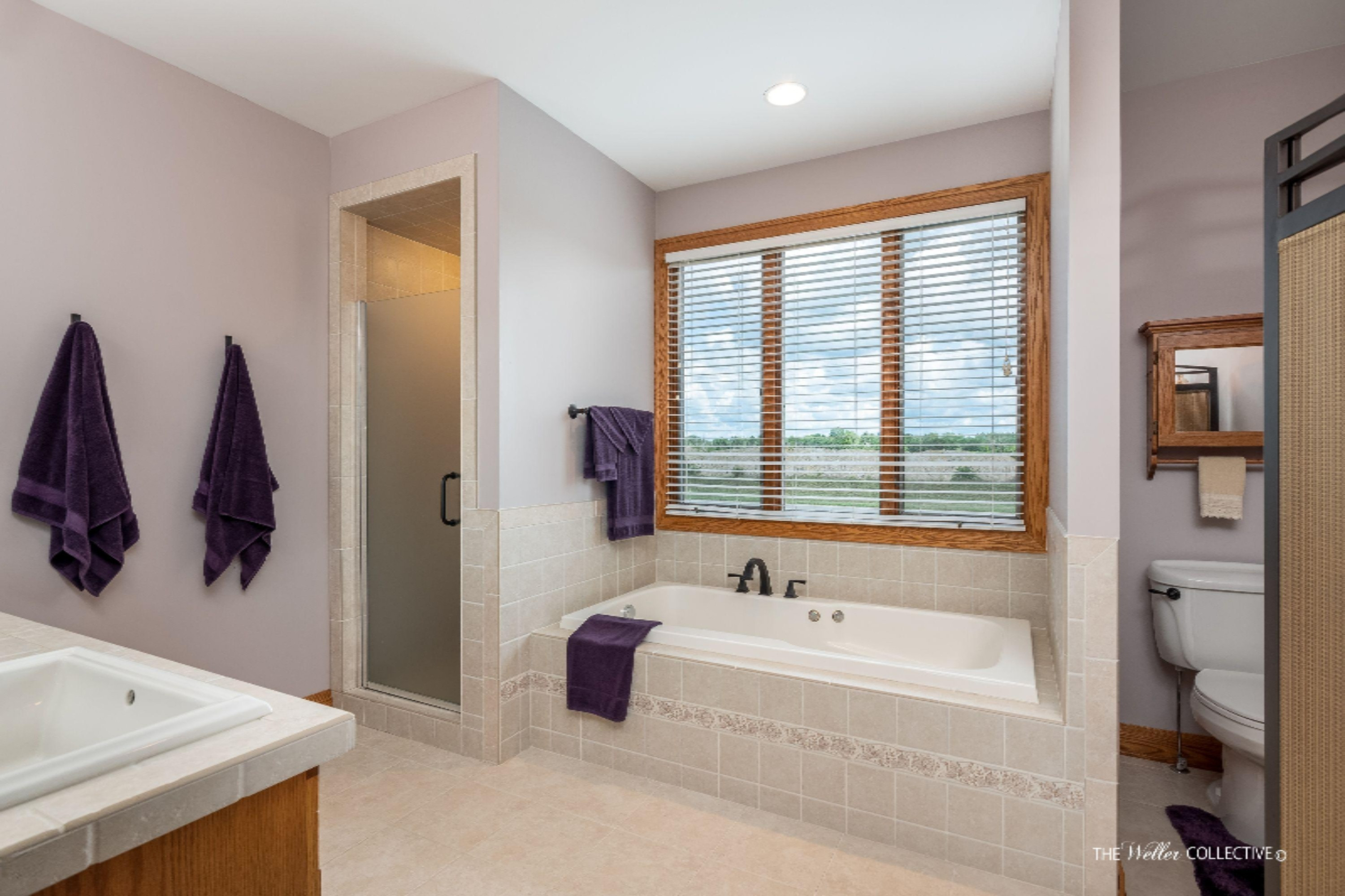 2452 Fillmore Street Jenison, MI 49428 - Photo 21 of 75 Master bath