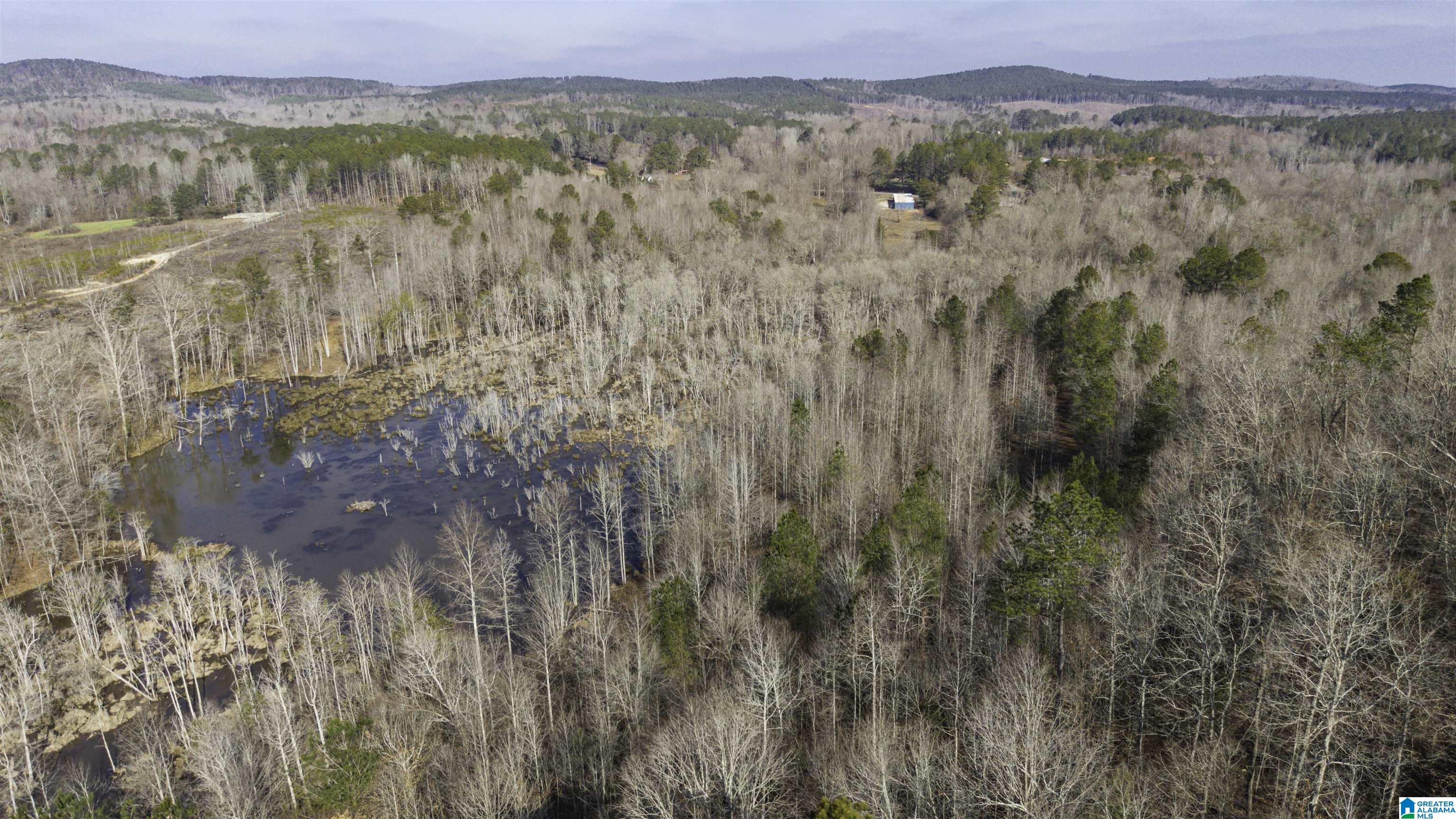 4970 Blakes Ferry Road Lineville, AL 36266 - Photo 15 of 24 Gallery Image 15