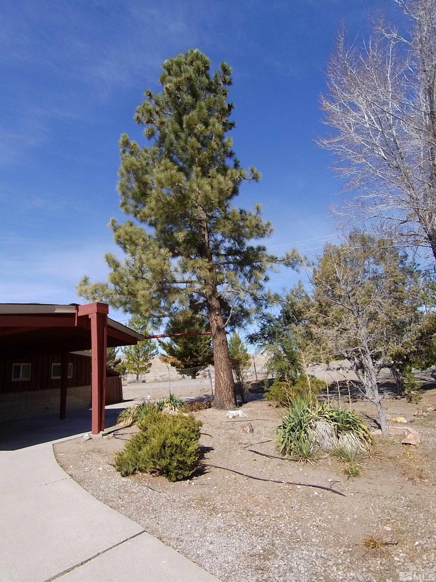 1275 Washington Street Reno, NV 89503 - Photo 5 of 37 a view of a yard with plants and a fountain