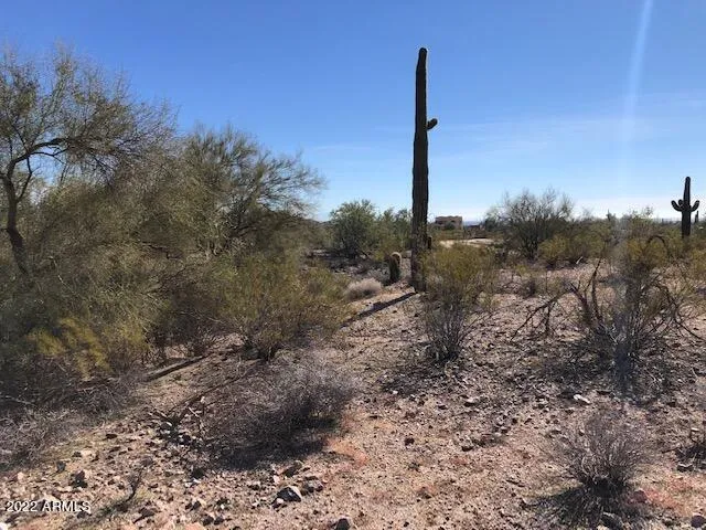 a view of a road with a snow in the background