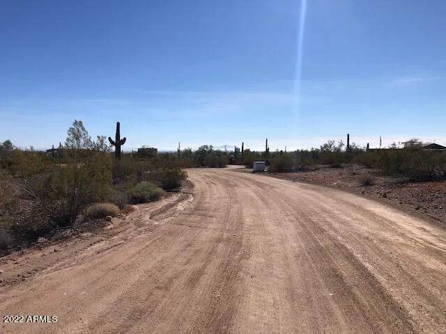 a view of a dry yard with mountains in the background