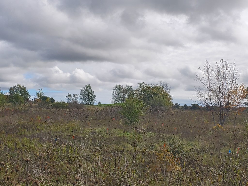 7162 Ida Red Road Egg Harbor, WI 54209 - Photo 8 of 14