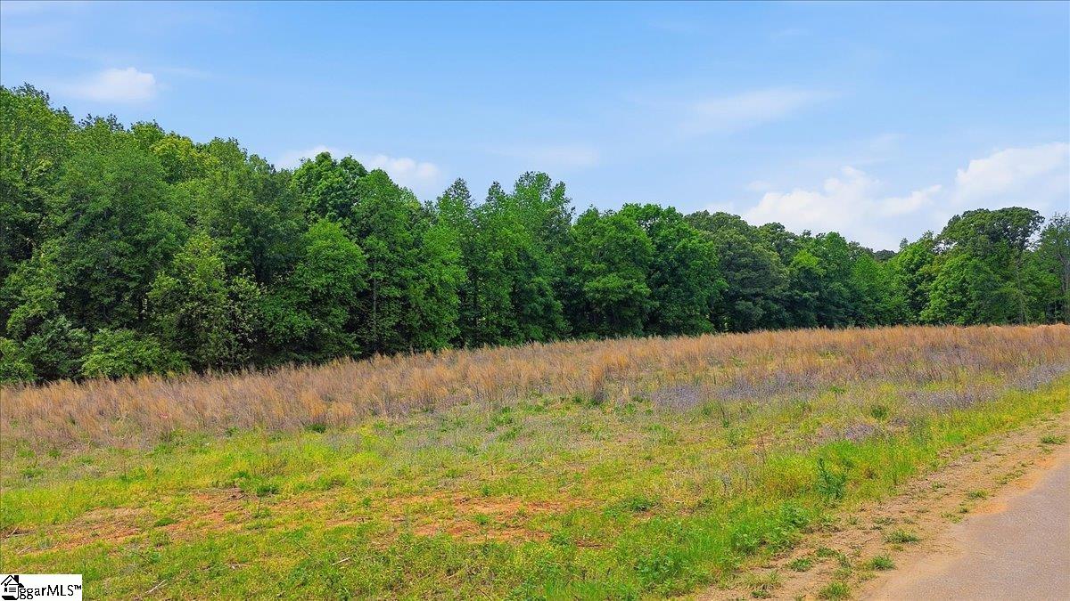 0 Parris Farm Road, Unit LOT 5 Chesnee, SC 29323 - Photo 13 of 26
