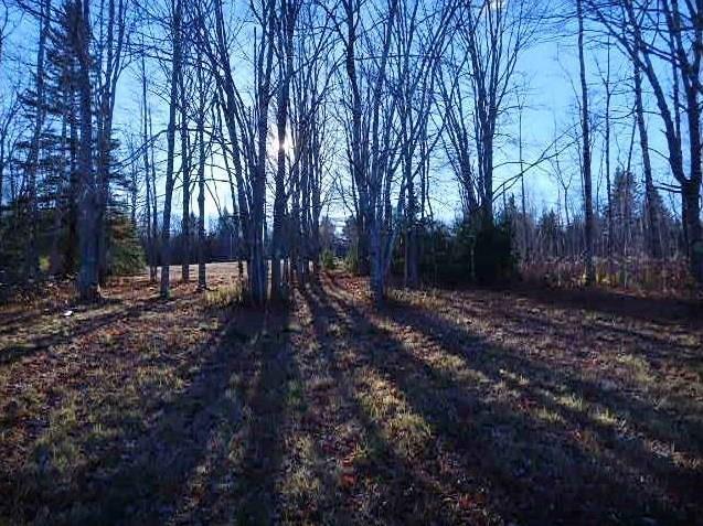 Map 8-lot7 Partridge Cove Road Lamoine, ME 04605 - Photo 11 of 24 11