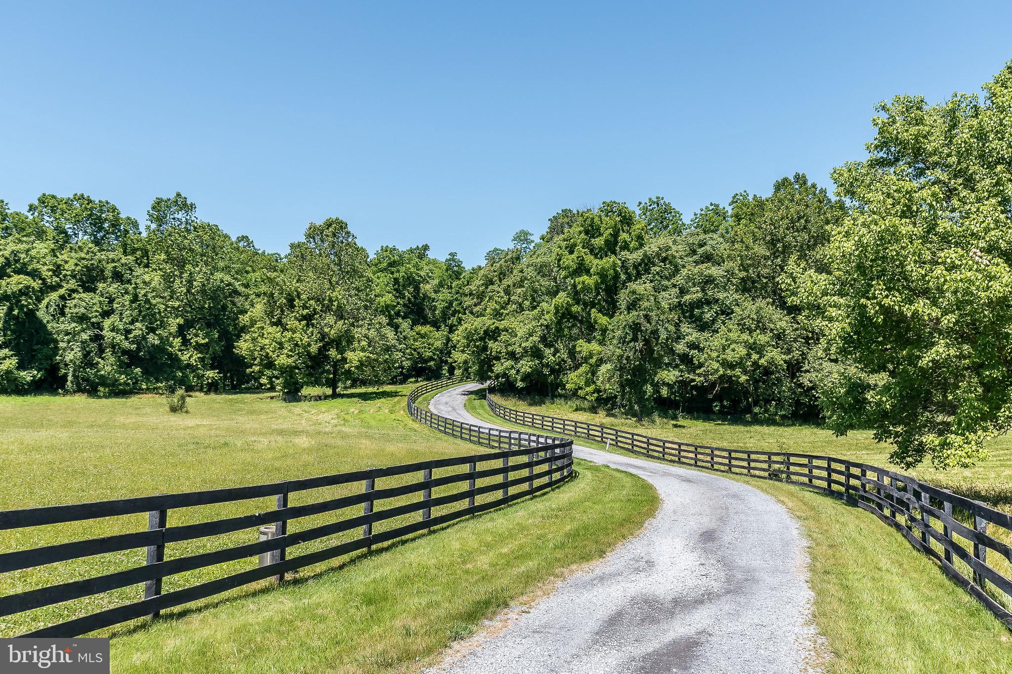 984 Morgan Grove Road Shepherdstown, WV 25443 - Photo 2 of 85