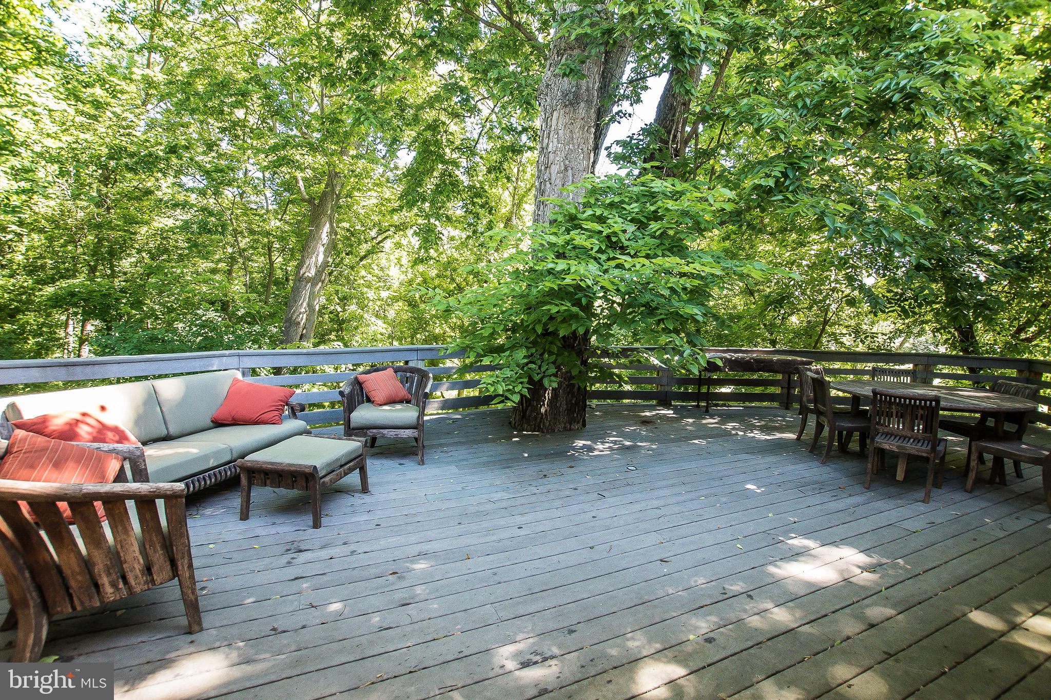 984 Morgan Grove Road Shepherdstown, WV 25443 - Photo 63 of 85