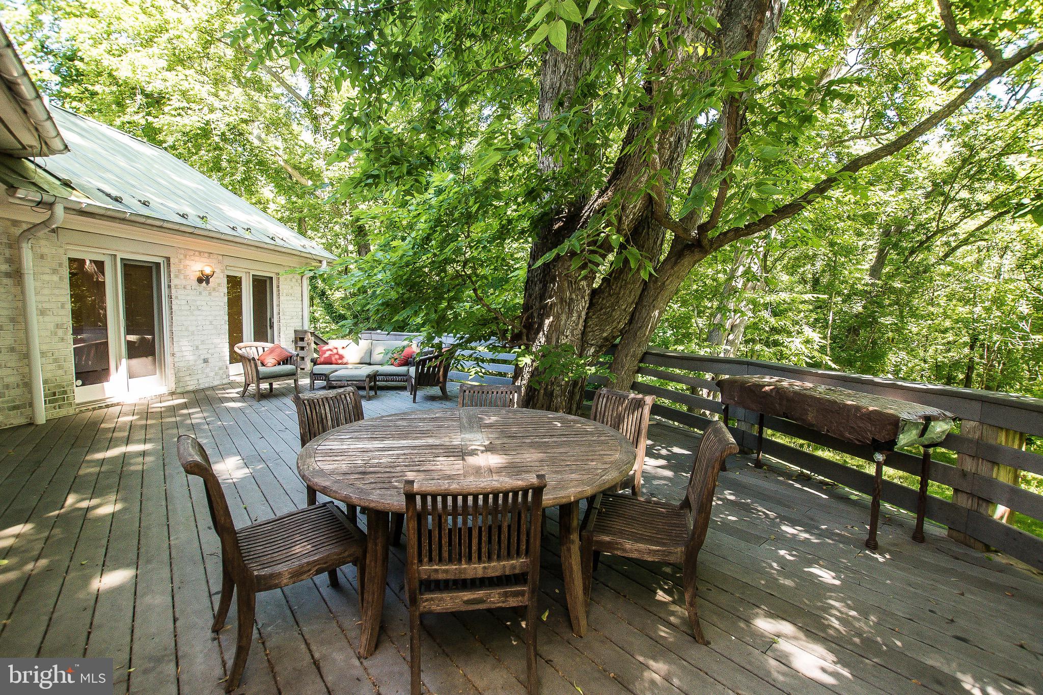 984 Morgan Grove Road Shepherdstown, WV 25443 - Photo 66 of 85