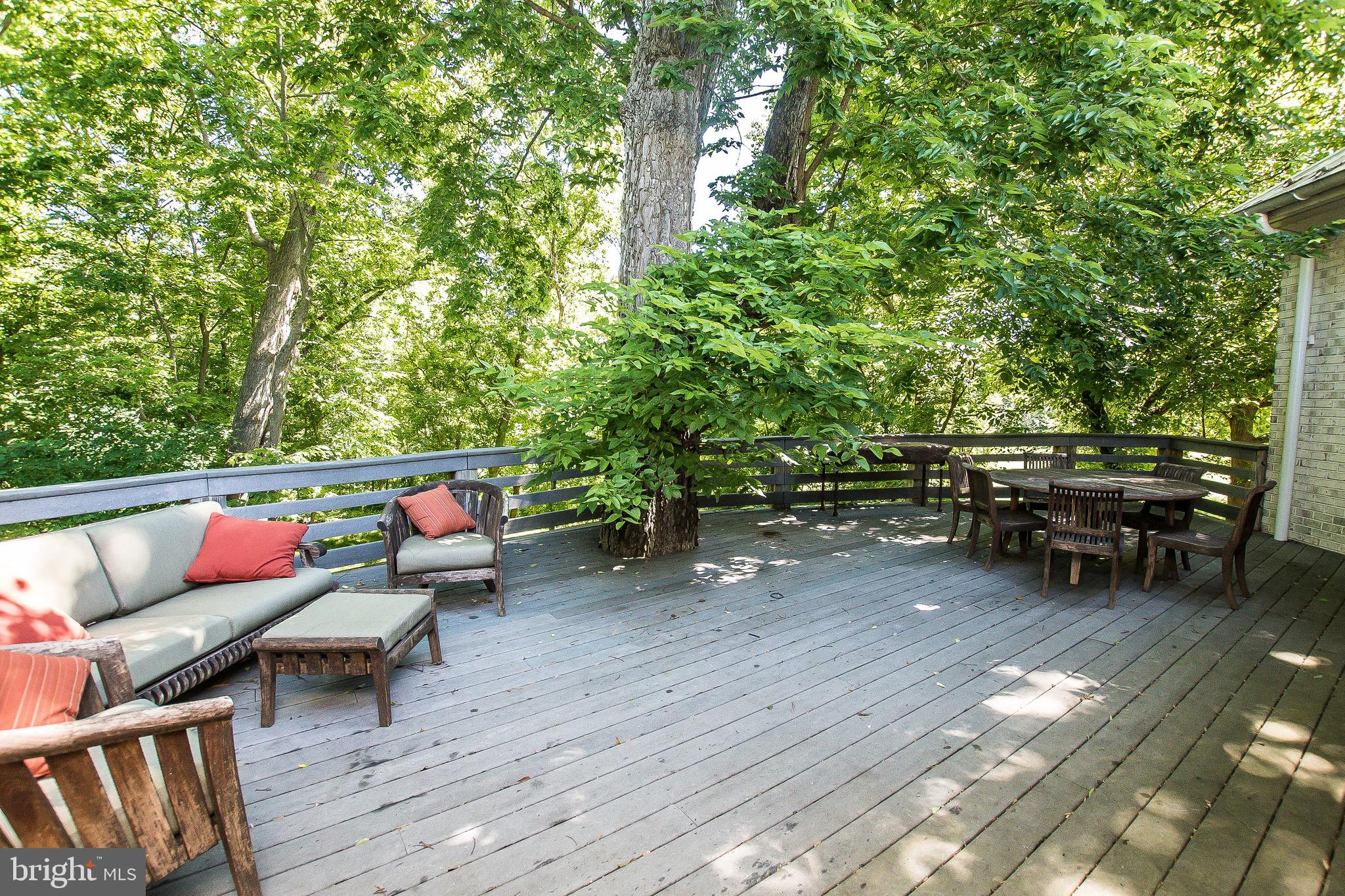 984 Morgan Grove Road Shepherdstown, WV 25443 - Photo 67 of 85
