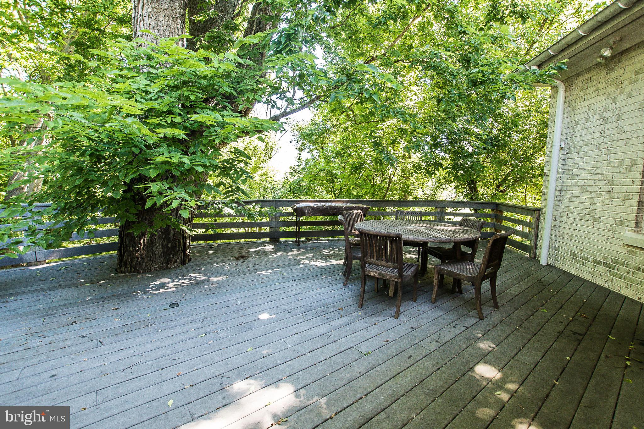 984 Morgan Grove Road Shepherdstown, WV 25443 - Photo 68 of 85