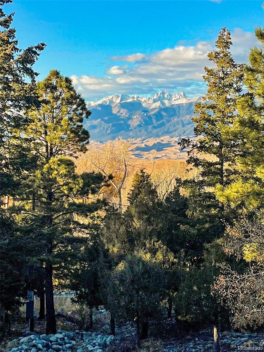 236 Mill Run Road Mosca, CO 81146 - Photo 11 of 49