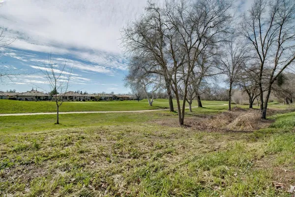 a view of a park