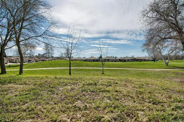 a view of a tennis ground with large trees