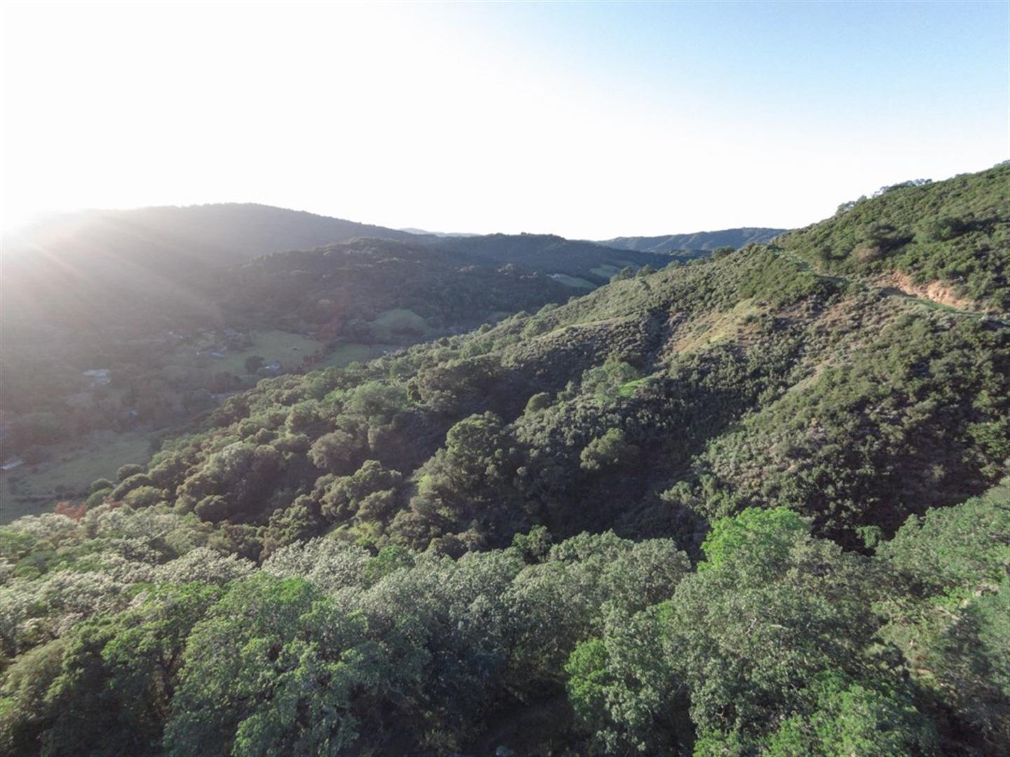 7550 Whitehurst Road Gilroy, CA 95020 - Photo 41 of 49 an aerial view of mountain and tree