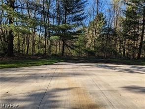 17802 Rapids Road Hiram, OH 44234 - Photo 14 of 16 Plenty of driveway and parking, but you are always to keep the right of way for the when the owner might need to access a rear garage.