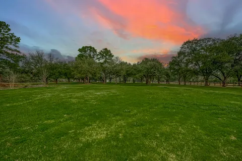 a backyard of a house with lots of green space