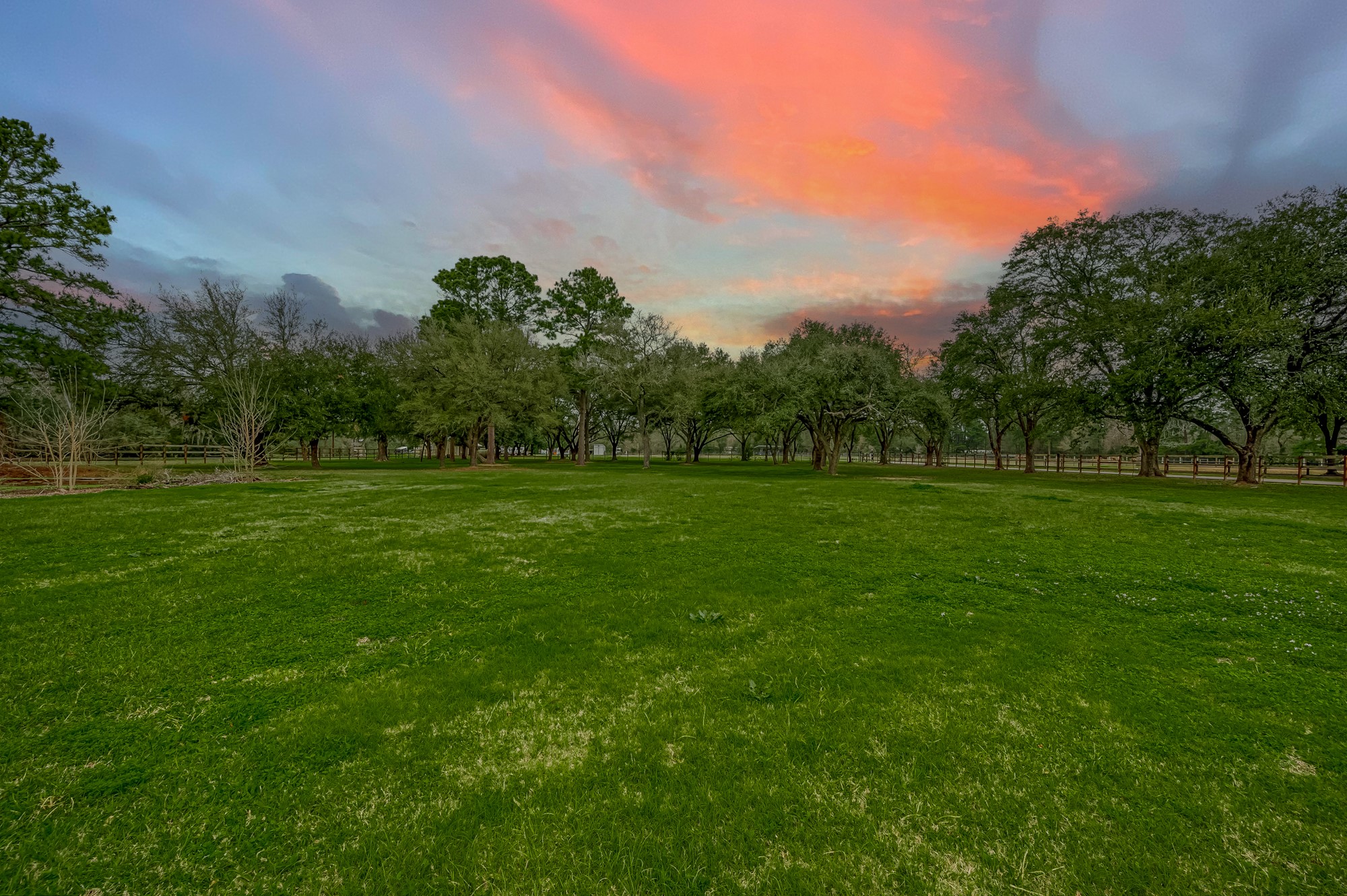 a backyard of a house with lots of green space