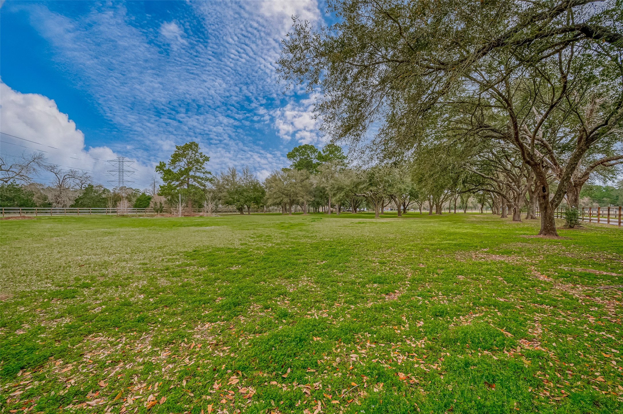 12122 Zion Road Tomball, TX 77375 - Photo 14 of 35 a view of a grassy field with trees