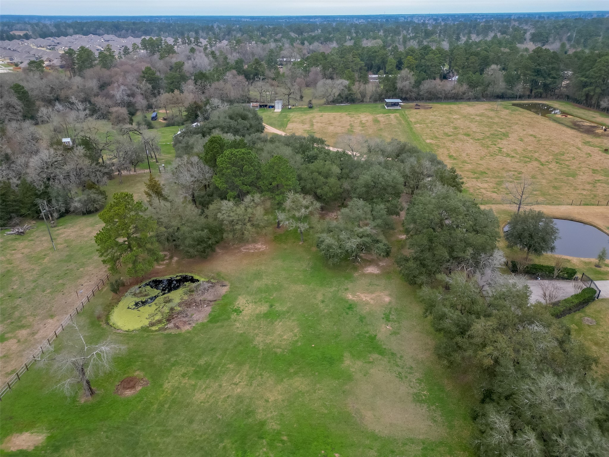 12122 Zion Road Tomball, TX 77375 - Photo 18 of 35 a view of a green field with lots of trees
