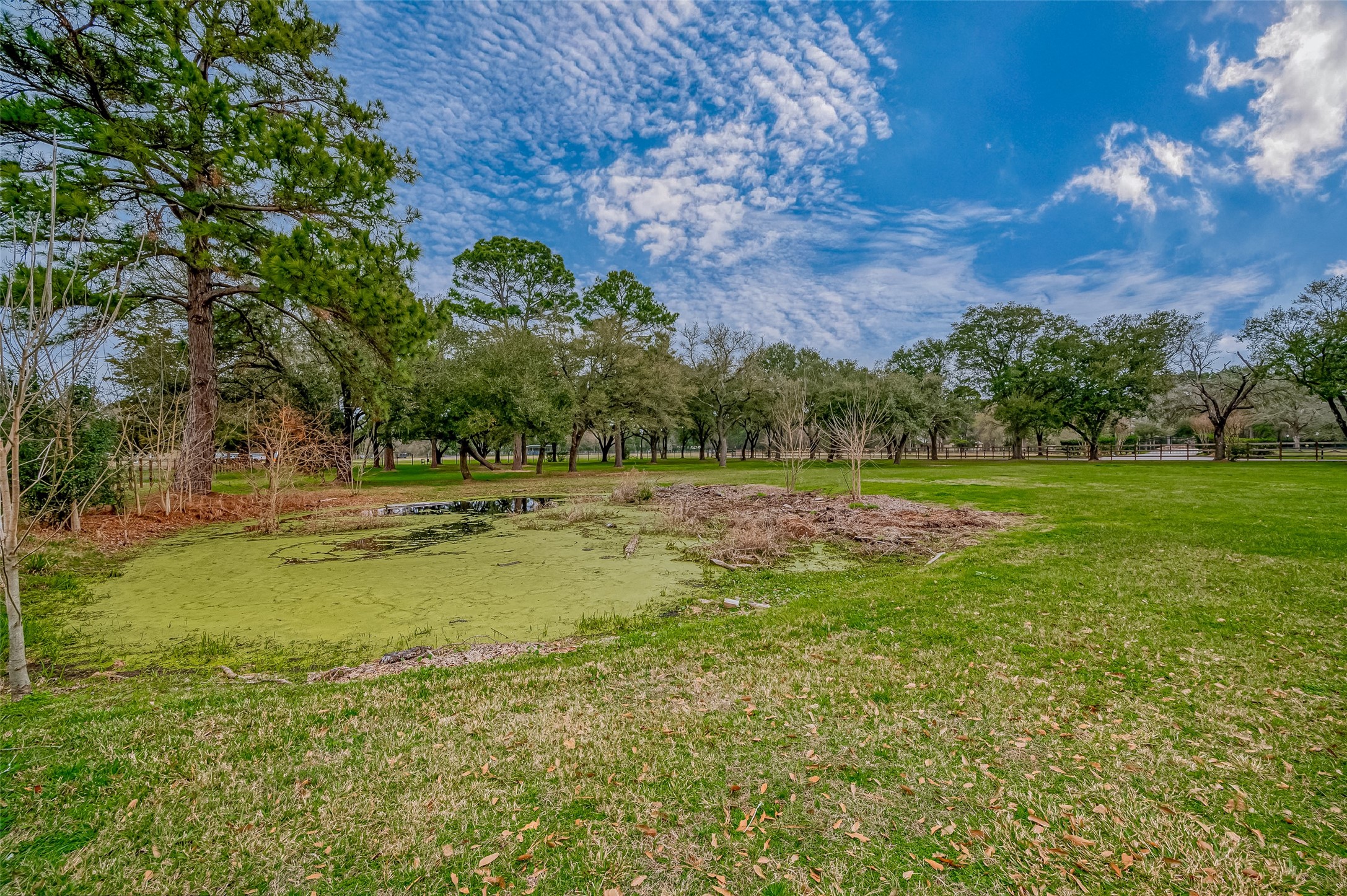 12122 Zion Road Tomball, TX 77375 - Photo 22 of 35 a view of a garden with a building in the background