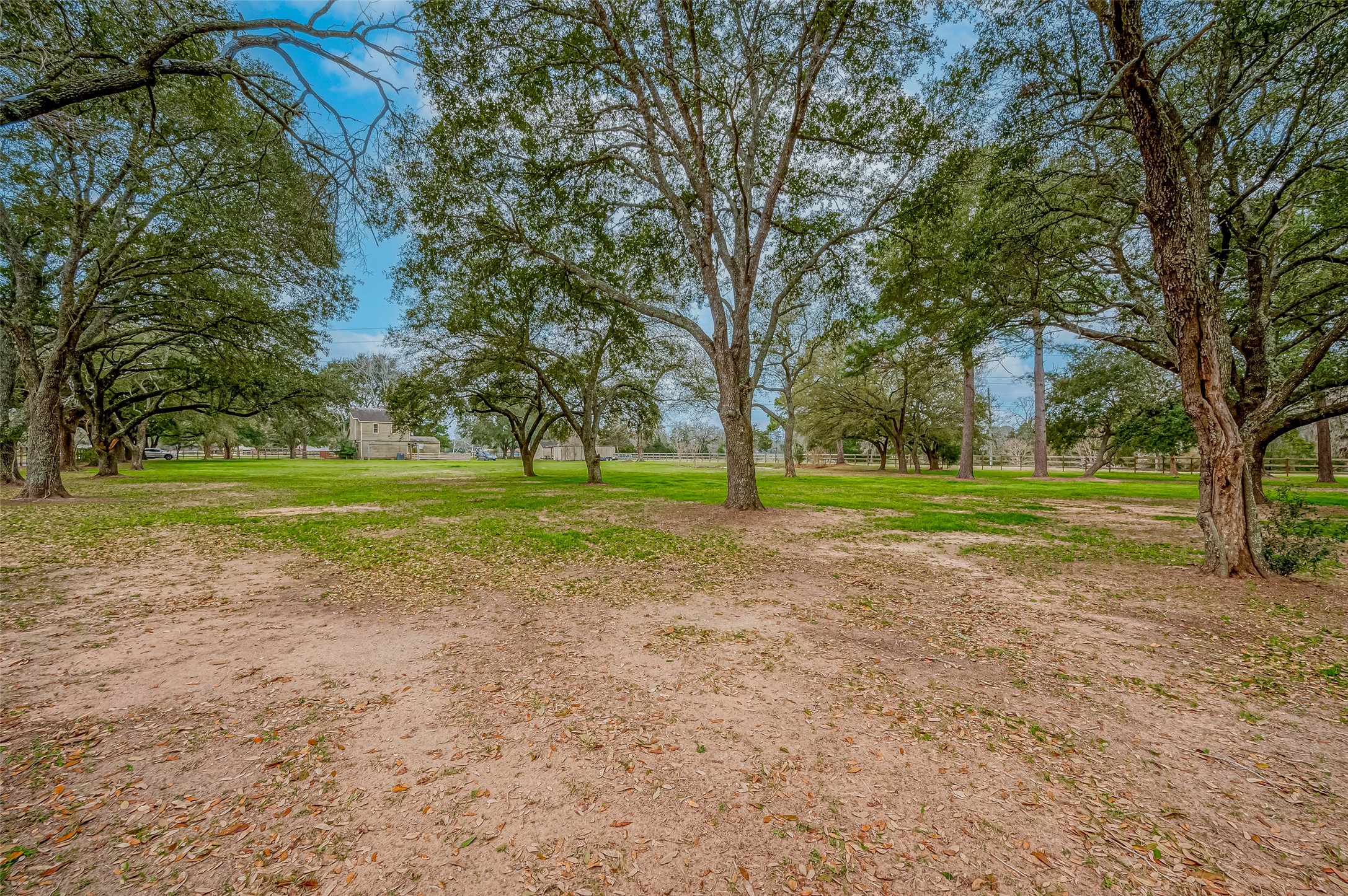 12122 Zion Road Tomball, TX 77375 - Photo 24 of 35 a view of a ground with large trees