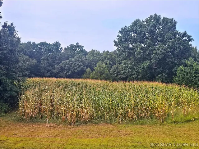 $574,900 | 111 Manning Drive, Eldon, MO 65026