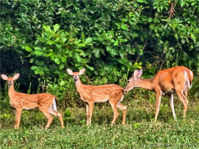 $574,900 | 111 Manning Drive, Eldon, MO 65026