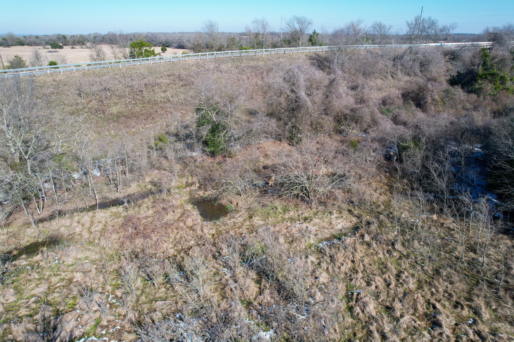 1 Prairie Grove Road Bremond, TX 76629 - Photo 18 of 24