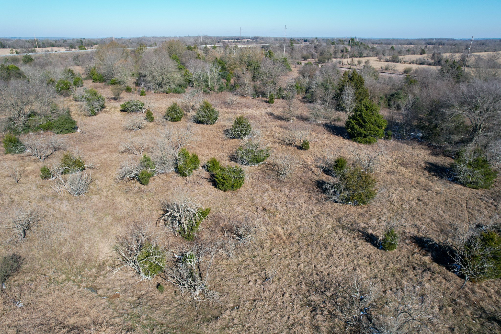 1 Prairie Grove Road Bremond, TX 76629 - Photo 21 of 24 Ideal for outdoor activities, farming, or livestock