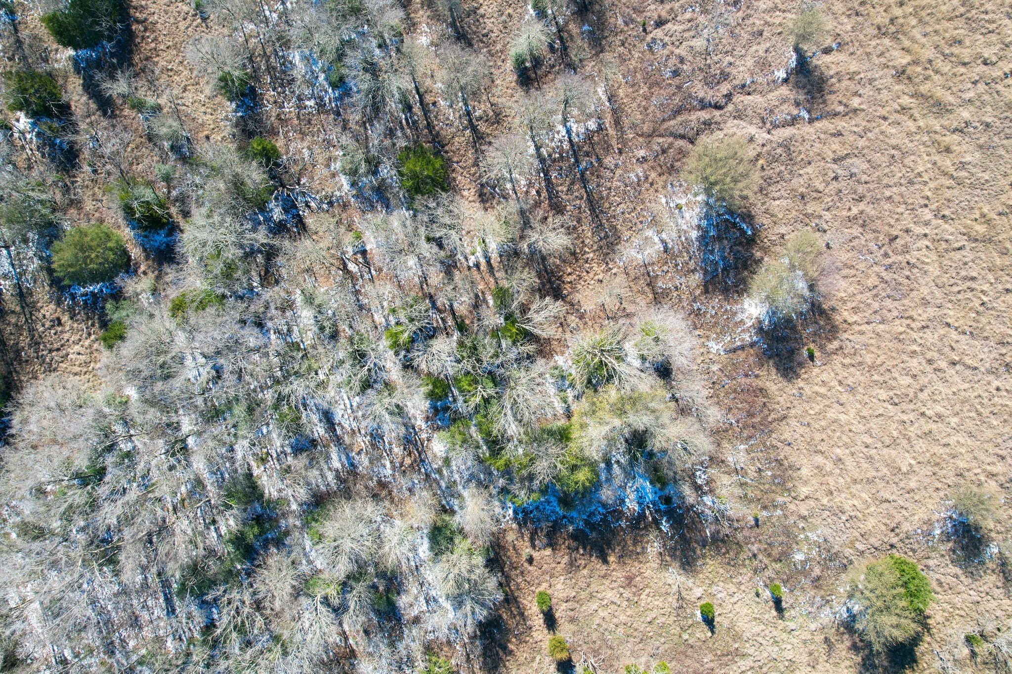 1 Prairie Grove Road Bremond, TX 76629 - Photo 6 of 24 Wide-open space ready for your dream home or investment