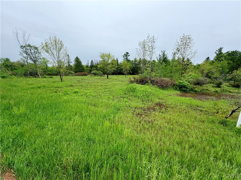 8 County Rte Cape Cape Vincent, NY 13618 - Photo 11 of 13