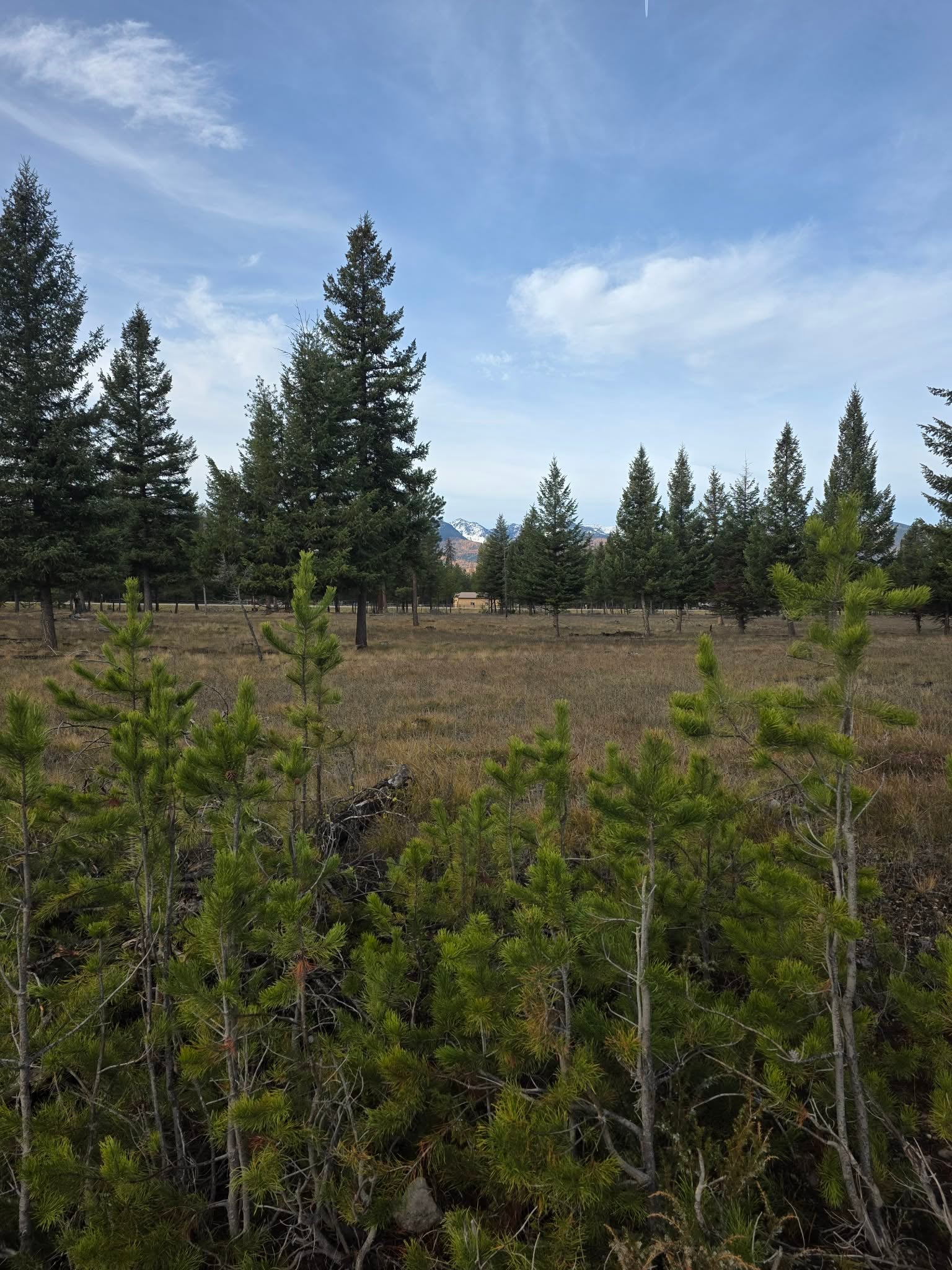 Nhn Hollopeter Road Condon, MT 59826 - Photo 16 of 72 Gallery Image 16