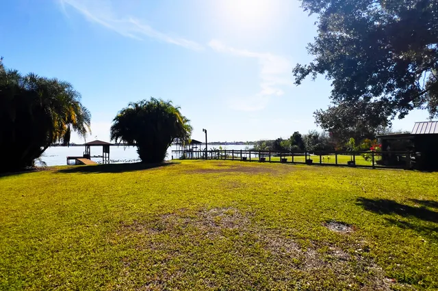 a view of a yard with plants and large trees