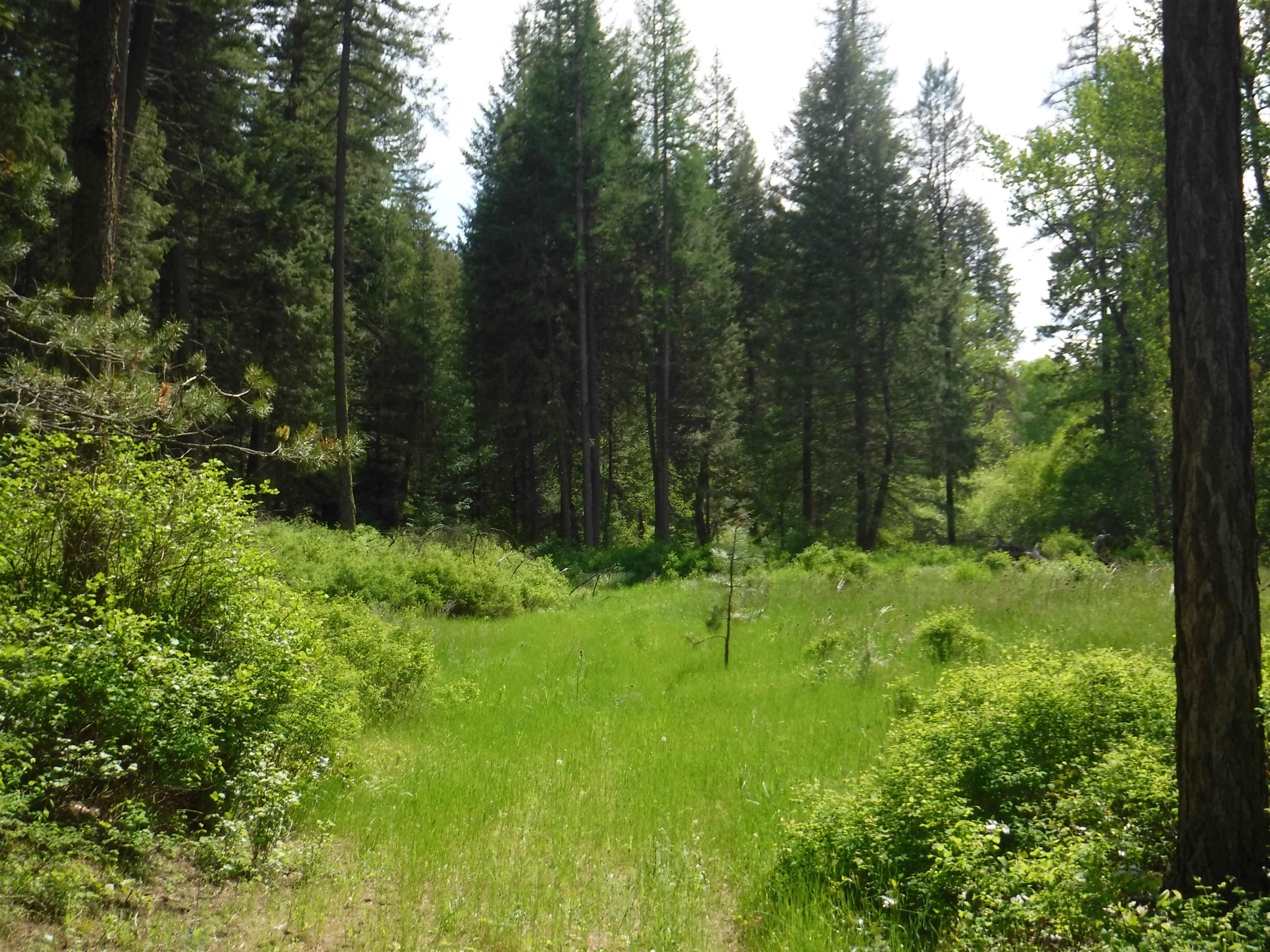 Xx East Woolard Road Colbert, WA 99005 - Photo 17 of 23