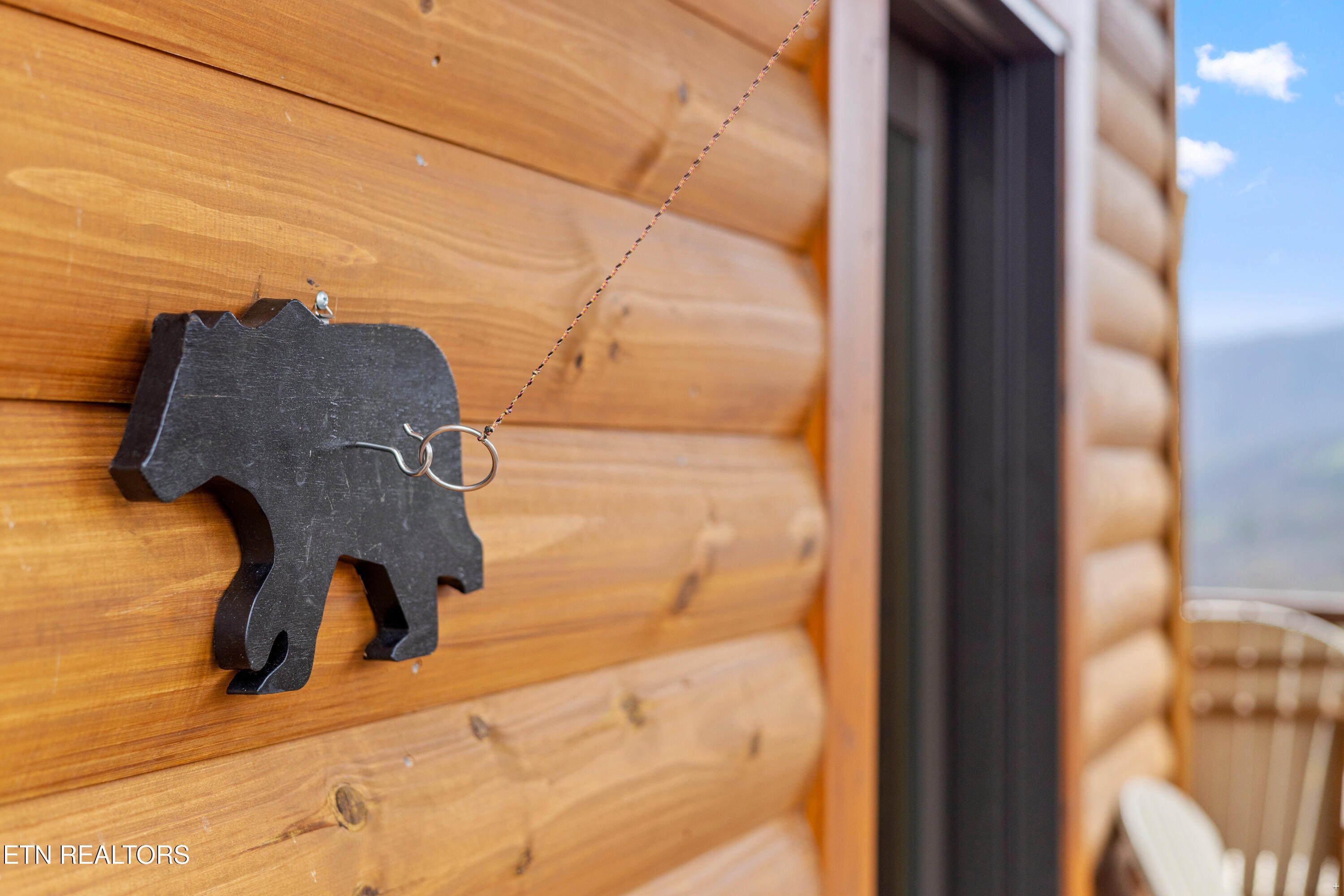 1845 Pinestand Ridge Way Sevierville, TN 37862 - Photo 4 of 53 Positive Perceptions-10