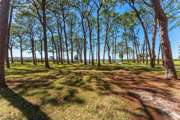 a view of outdoor space with trees