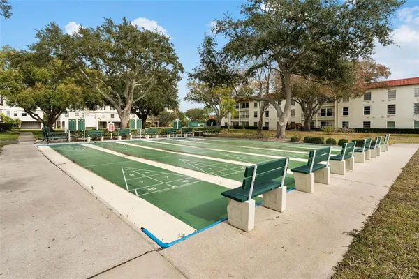 a view of a park with trees