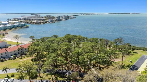 a view of a lake with boats and trees in the background