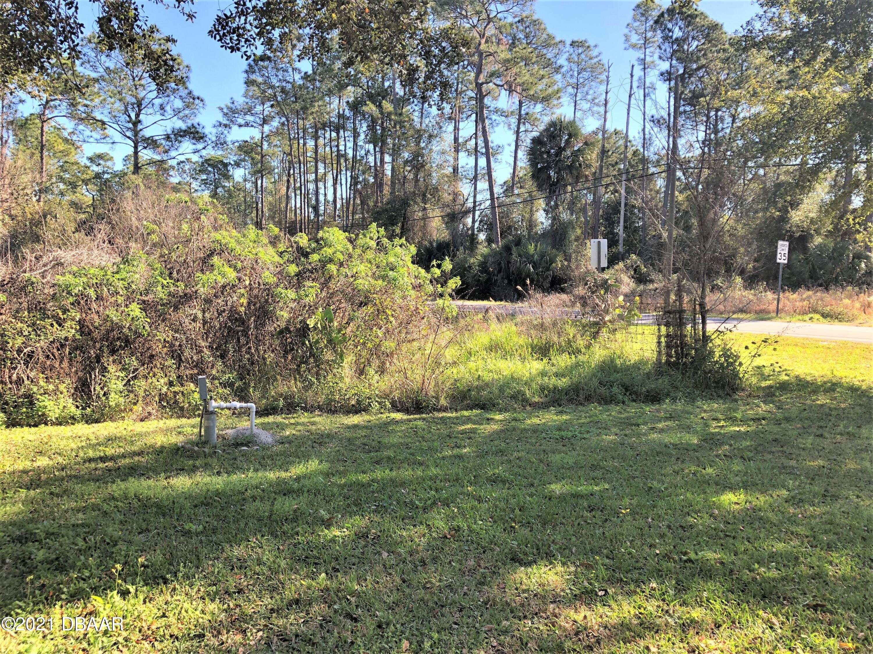 1895 Old Daytona Road DeLand, FL 32724 - Photo 29 of 32 IMG_9778c