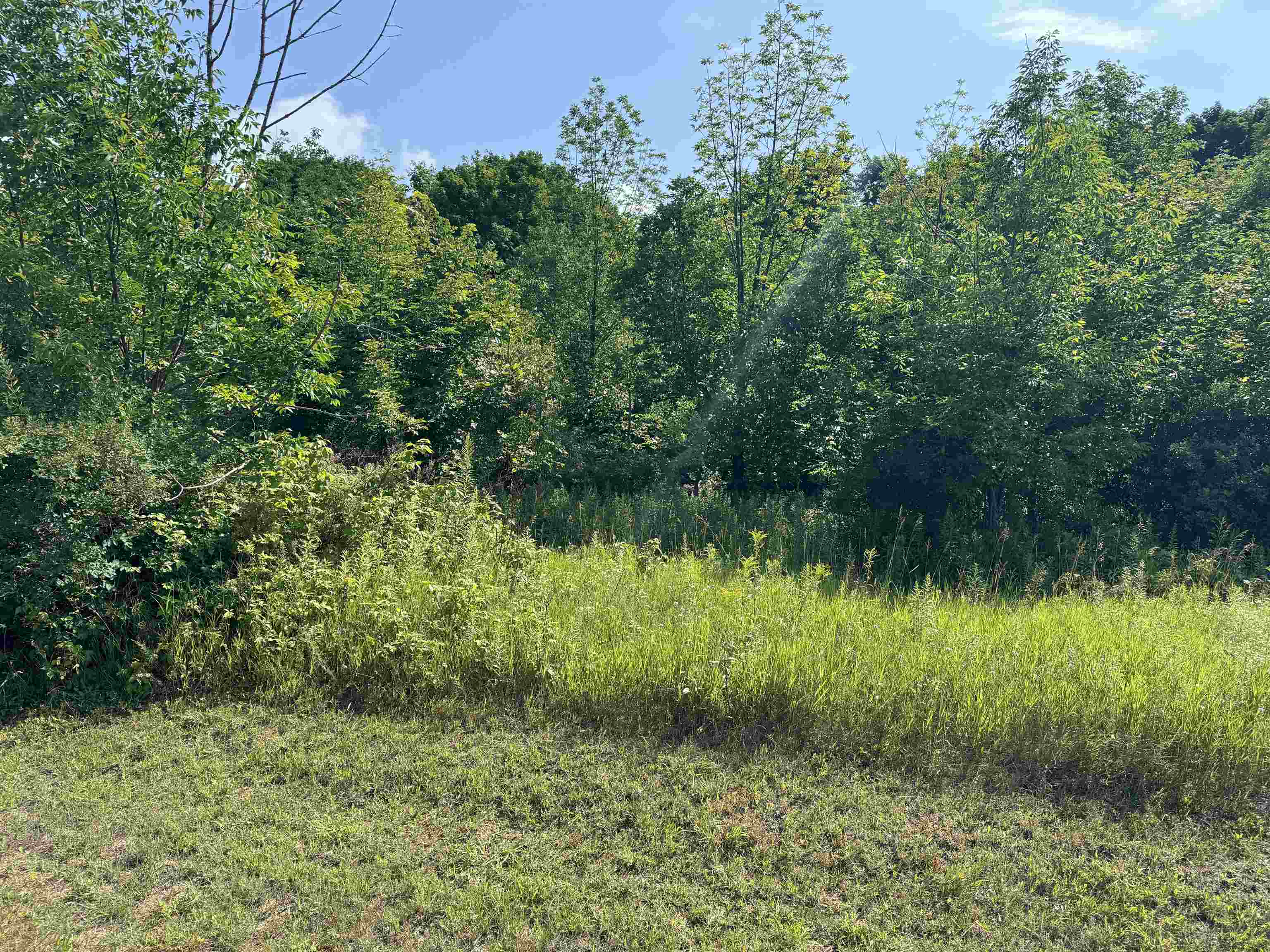 On Powell Road Kewadin, MI 49648 - Photo 6 of 7