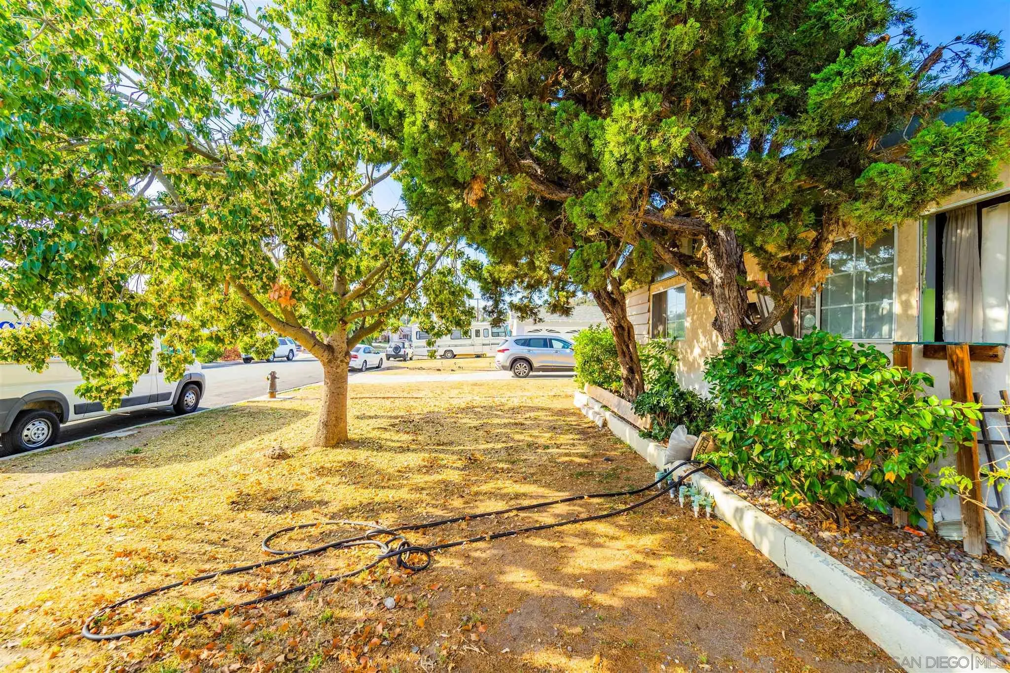 14149 Frame Road Poway, CA 92064 - Photo 4 of 28 a view of yard with tree