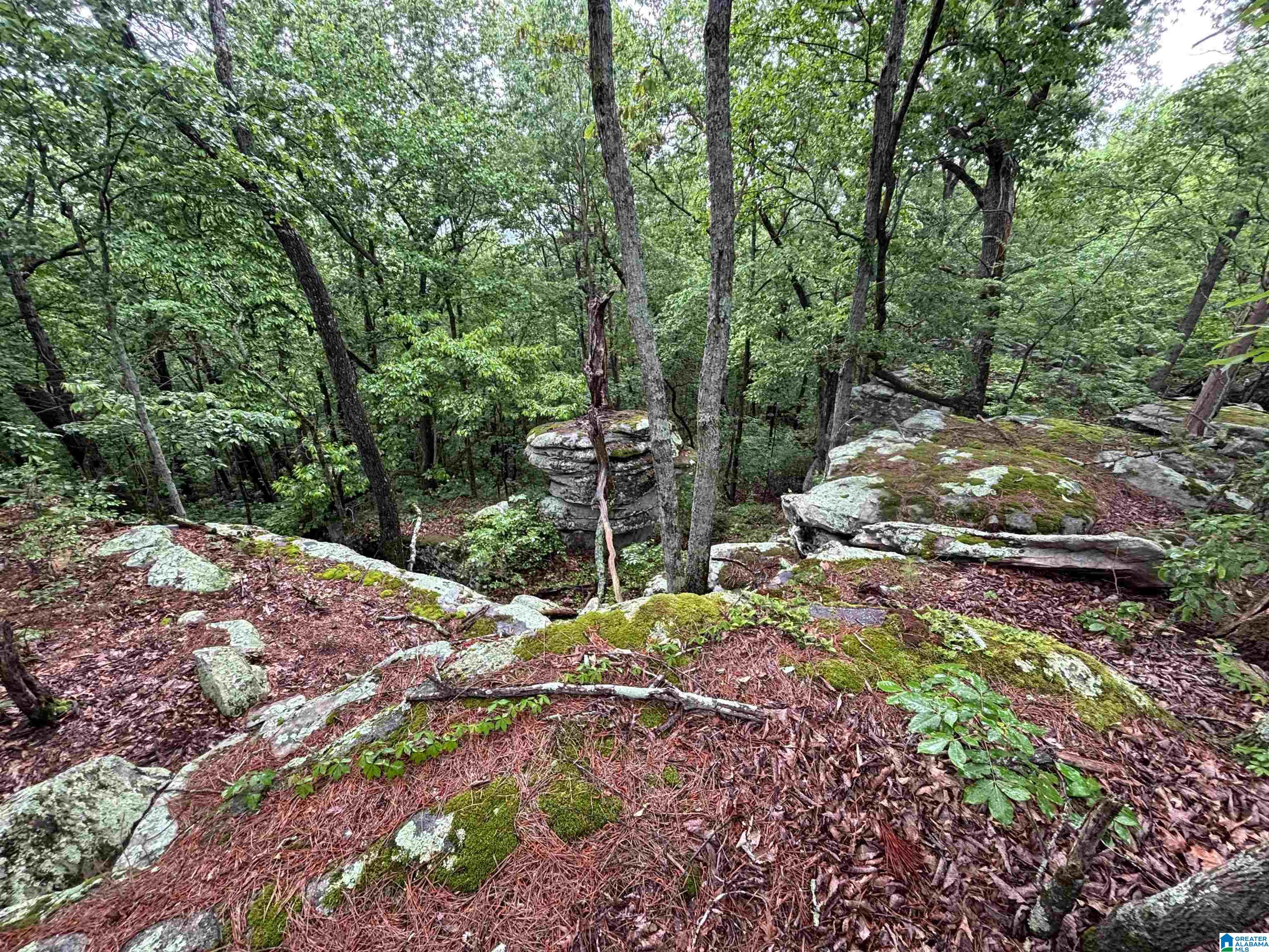 0 Bright Star Road, Unit 123 / ACRES Horton, AL 35980 - Photo 14 of 21