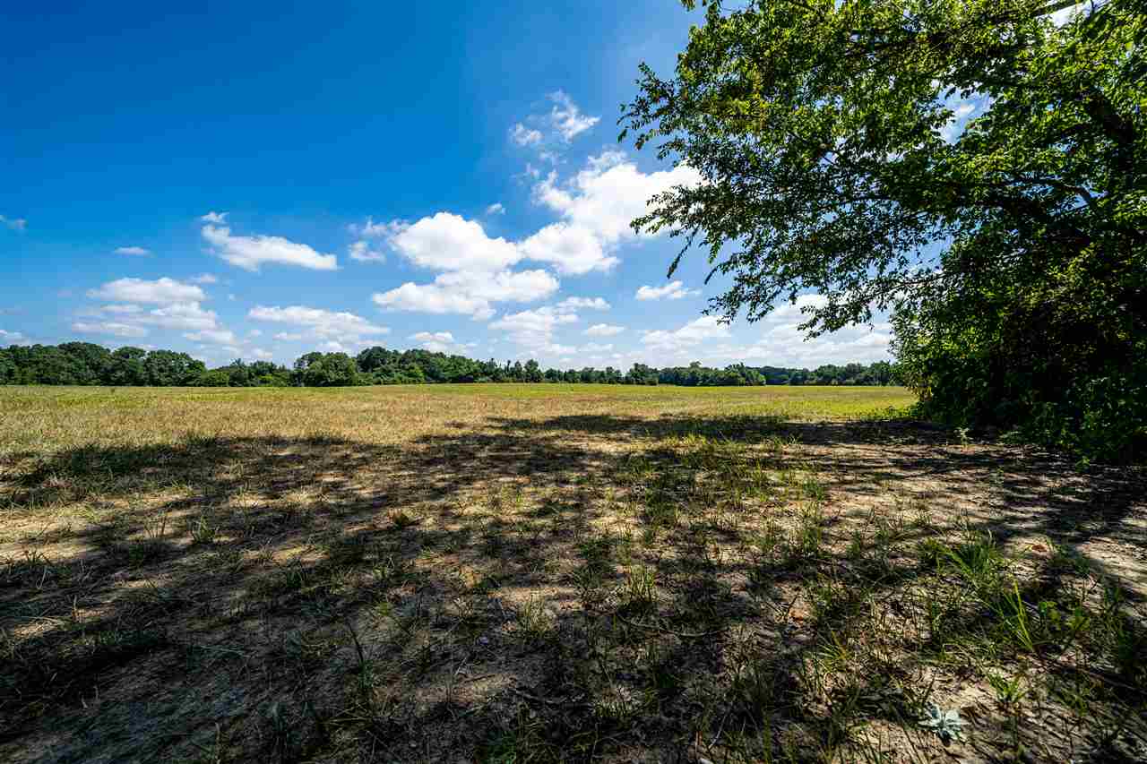Solomon Mill Road Somerville, TN 38068 - Photo 11 of 14 Gallery Image 11